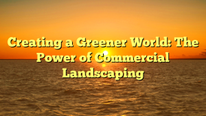 Creating a Greener World: The Power of Commercial Landscaping