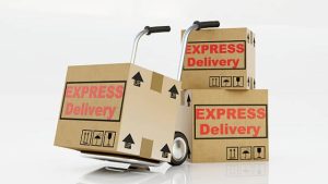 The Midnight Express: Unveiling the Art of Overnight Parcel Deliveries