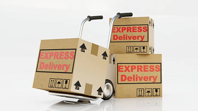 The Midnight Express: Unveiling the Art of Overnight Parcel Deliveries