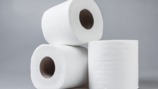 The Ultimate Guide to Finding Your Perfect Toilet Paper: From Softness to Sustainability