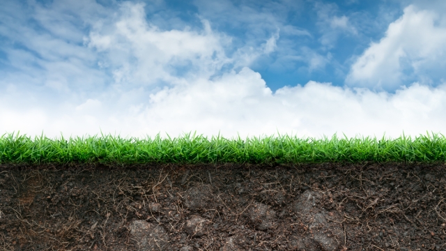 Unearthing the Power of Organic Soils: A Natural Path to Sustainable Gardening