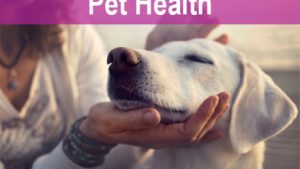 Unlocking the Secrets to a Happier, Healthier Pet: Essential Tips for Pet Health