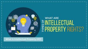 Cultivating Creativity: Unraveling the World of Intellectual Property