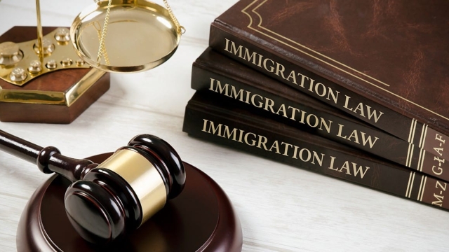 The Changing Tides: Navigating Immigration Law in the 21st Century