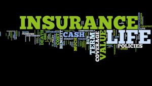 The Ultimate Guide to Choosing the Perfect Insurance Agency
