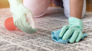 Unveiling the Magic of Professional Carpet Cleaning: From Stains to Shine
