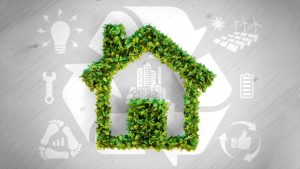 Embracing the Eco-Friendly Lifestyle: A Fresh Approach to Green Living