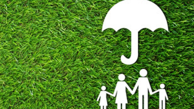 Insuring Your Future: A Guide to Understanding Insurance