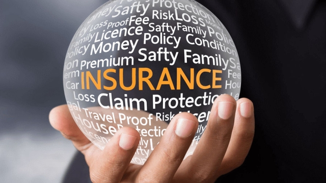 Insuring Your Peace of Mind: Inside the World of Insurance Agencies